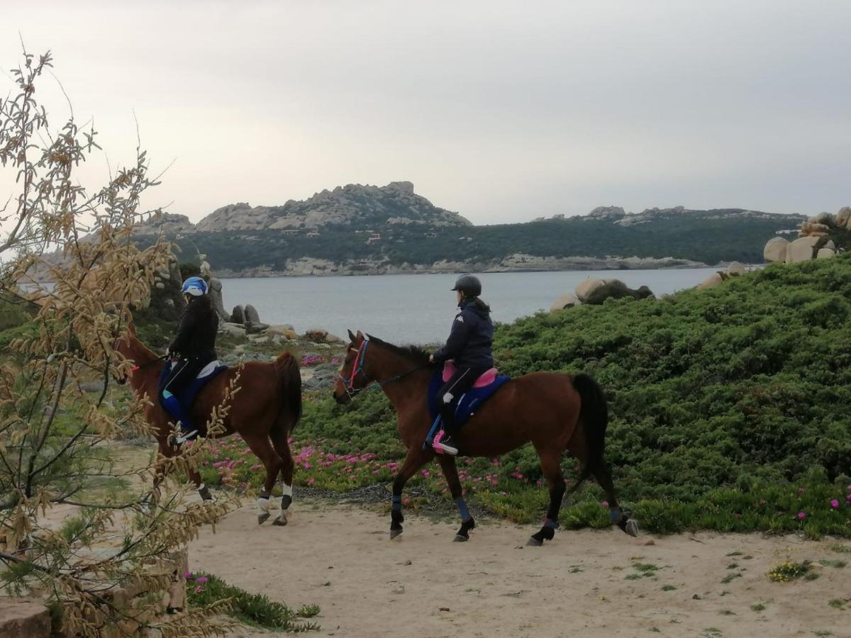 Casa Baia Santa Reparata - Santa Teresa Di Gallura Iun Q1712 Buitenkant foto